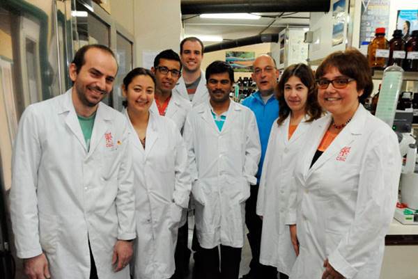 Alumnos de Bachillerato y 4º de ESO participan en la Semana de la Ciencia del CSIC-IPNA